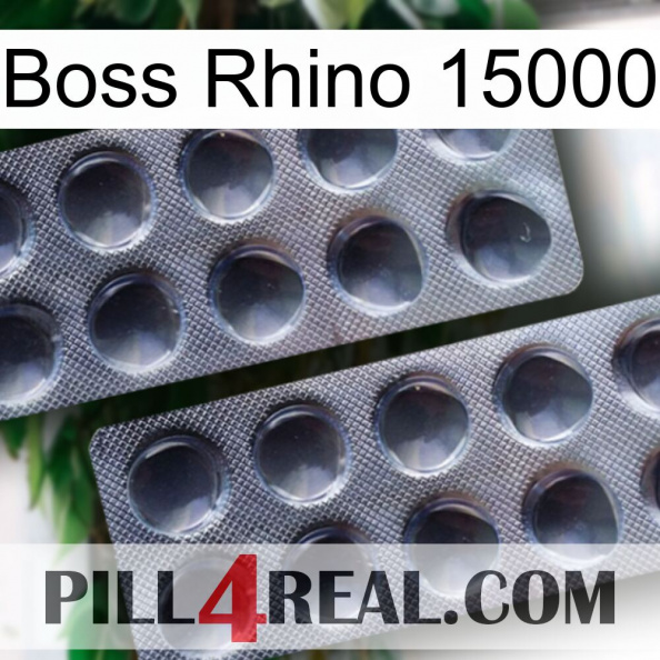 Boss Rhino 15000 31